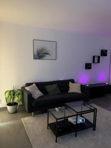 Super appartement 45 m2 proche Paris - Location saisonnière - Montreuil