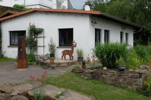 Haus Alpaka in Bad König, Deutschland