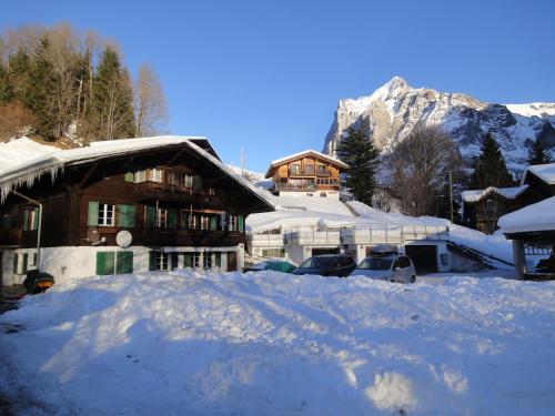 Chalet Engi Apt 1 for up to 8 People Grindelwald