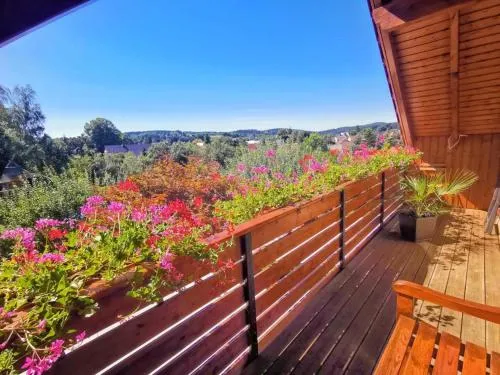 Ferienwohnung Gisela in Steinigtwolmsdorf, Deutschland
