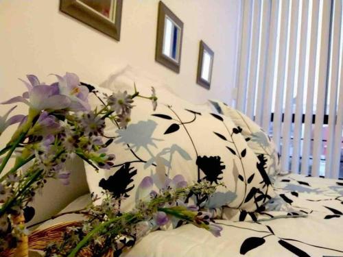 Sweet Home San Luiss