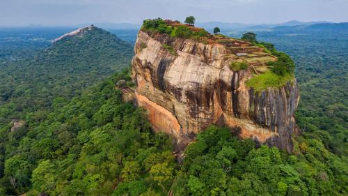 Sun Flower Homestay Sigiriya