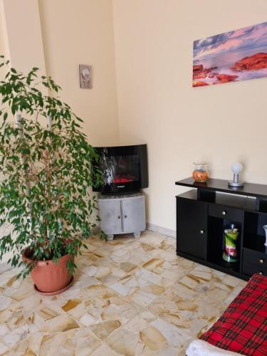 Casa dell amore 2 5