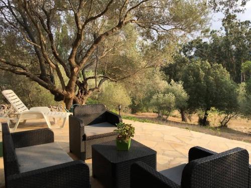 Petite maison en pierre in แซงต์ ฟลอรอง