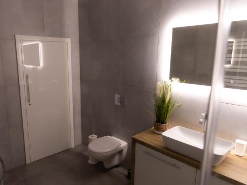 Apartament pod lasem