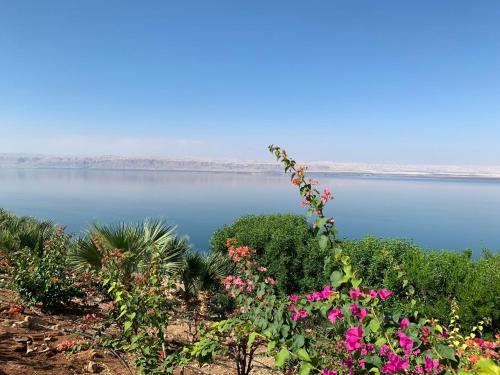 Samarah Dead Sea Resort Studio-CP6 Traveler Award 2023 Winner