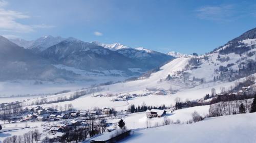  Appartement Mountain joys in Piesendorf