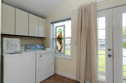 Nest Egg
