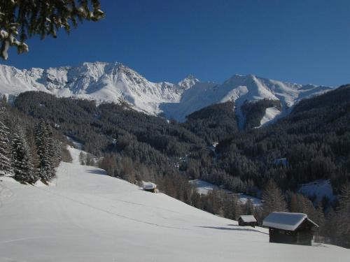 Schneekristall - image 9