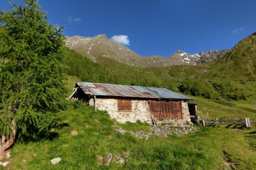 Schneekristall - image 13