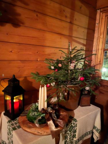 Appartement Emilia