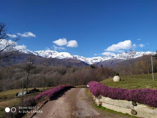 cascina serra beb camera BIELMONTE