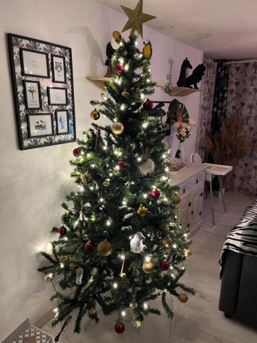 Girlygite41 cottage Saint-Aignan