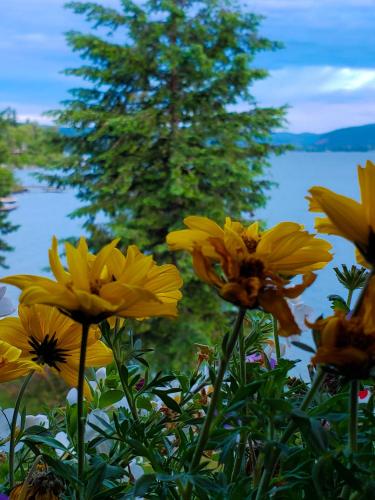 Lodge at Sandpoint - image 9