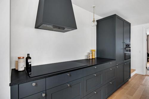 Sanders Regent - Chic Three-Bedroom Apartment Near Central Square, Kodaň (fotografie 7)