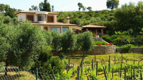 Uva e Stelle Maison in collina di Sperlonga