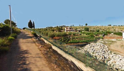 Stella Maison - image 14