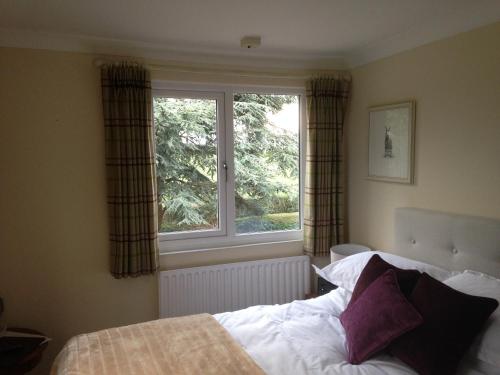 Whitethorn Bed and Breakfast - image 9