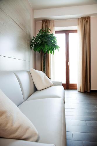 1 king bed, 1 sofa bed
