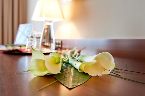 Hotel Admiral am Kurpark - image 13