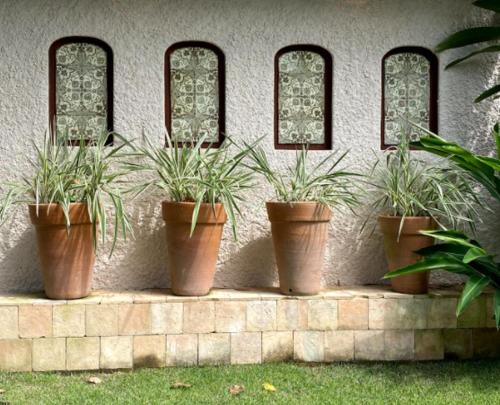 Vila Perainda — Photo 3