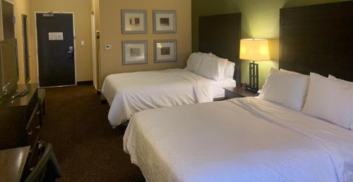 Holiday Inn Express Hotel & Suites Lansing-Dimondale, an IHG Hotel in Dimondale, USA
