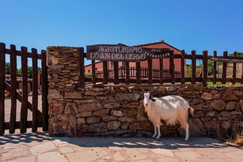 L'Oasi del Cervo