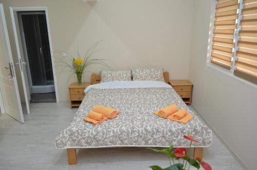 Guest House Konak Iris - image 13