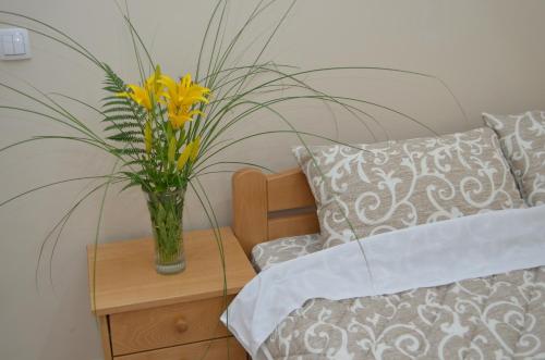 . Guest House Konak Iris