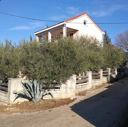  crna punta, kruševo in Obrovac
