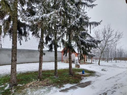 EVA HOUSE - image 5