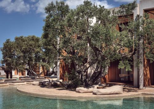 Olea All Suite Hotel - image 11
