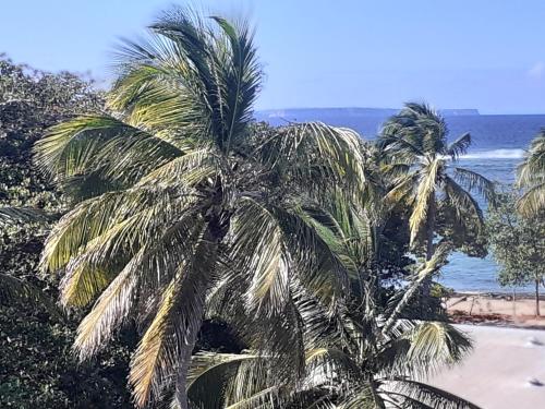 strand, STUDIO VUE SUR MER in Le Moule