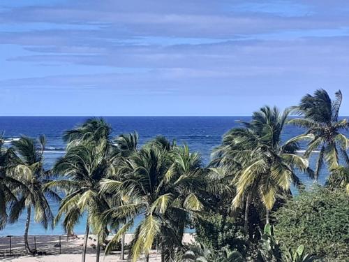 strand, STUDIO VUE SUR MER in Le Moule
