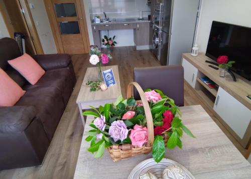 設施, Los Casares in 里亞諾