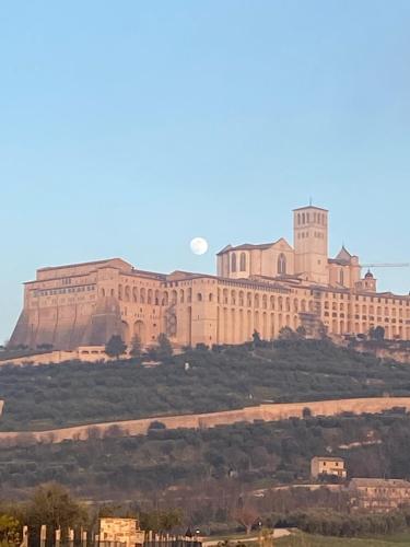B&B Domus Benedicta 4