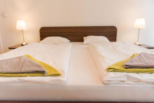 Lion Apartments in historical center, Bratislava Old Town, Bratislava (foto 11)