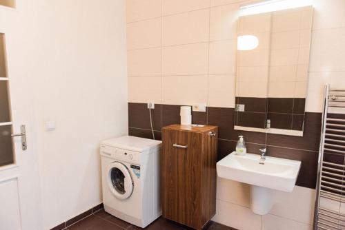 Lion Apartments in historical center, Bratislava Old Town, Bratislava (foto 6)