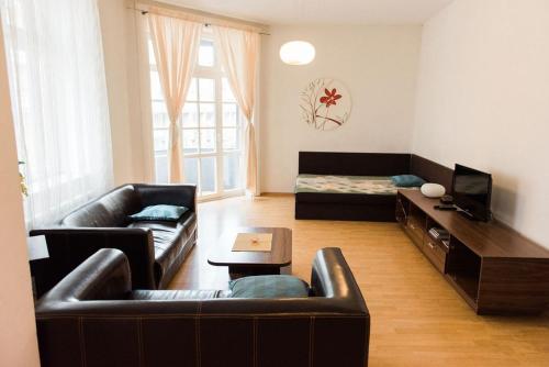 Lion Apartments in historical center, Bratislava Old Town, Bratislava (foto 3)