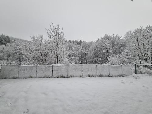 Ferienwohnung Schneeberg