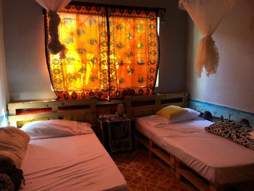 The Greenhouse Hostel Arusha Tanzania