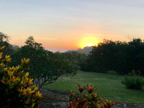 Gumbo Limbo Jungle Resort