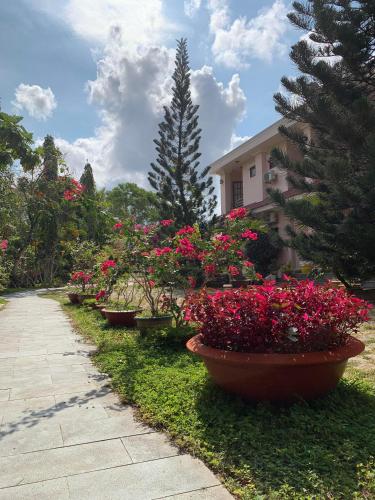 Foto - Hiep Thanh Resort