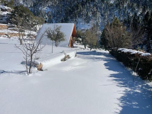 Chalet in the Forest, Kalavrita (foto 6)