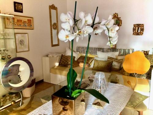 Közös társalgó / TV, Da Coco e Mini,l'angolo per ceramiste in viaggio - in Faenza