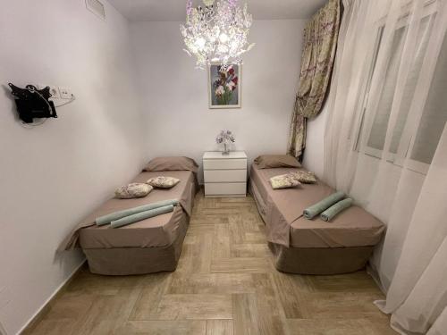 Violet Casa