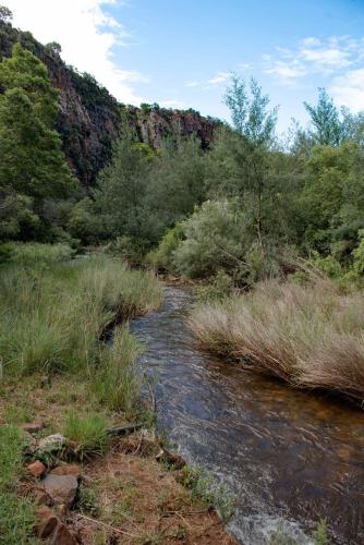 Riverbed Africa