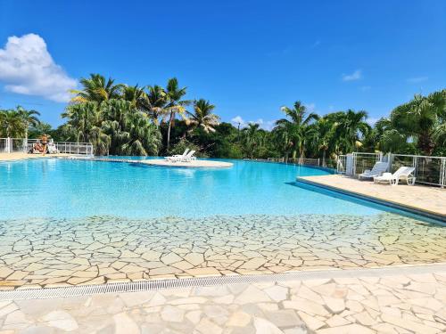 Studio avec piscine partagee jardin clos et wifi a Saint Francois a 1 km de la plage - Location saisonnière - Saint François