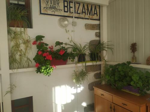  Albergue Ambiental de Beizama - Beizamako Aterpetxea in Beizama