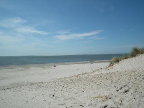 Hollumerduinen - image 10